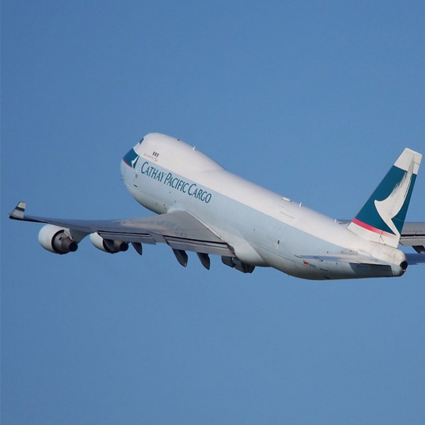 What are the precautions for International Logistics Service