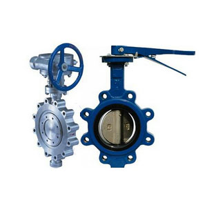 Wafer Type Butterfly Valve