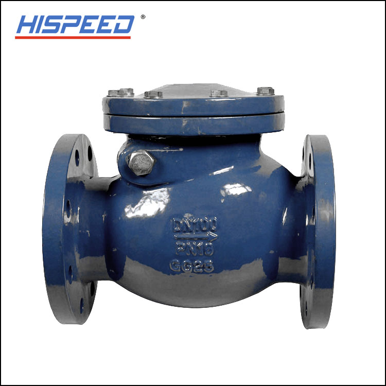 Considerations regarding cast iron swing check valves