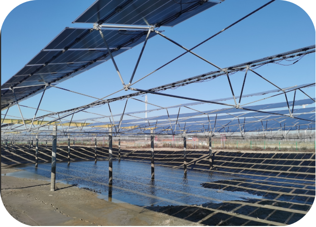 Flexible Solar Mounting System Company: Top Solutions for Maximum Energy Efficiency