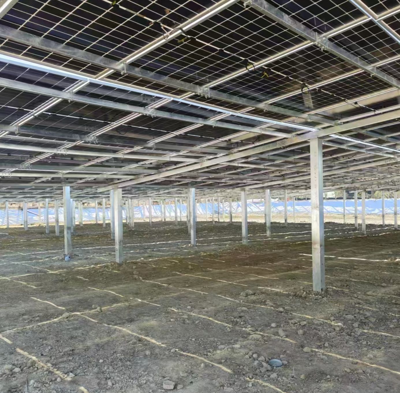 Optimizing Solar Installations: Top Steel Structure Factory in China for Renewable Energy