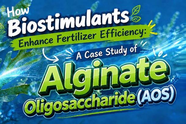 Reliable Fertilizer Additive Supplier: Critical Factors for Consistent Crop Nutrition